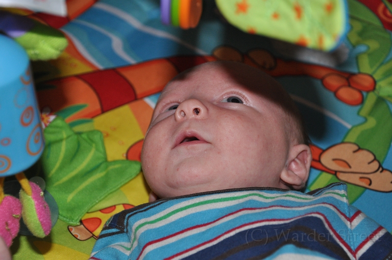 William's Fifth Week 09.jpg